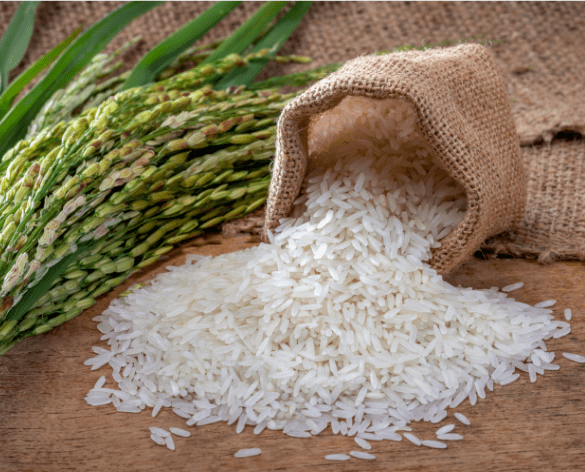 basmati Rice Supplier in India